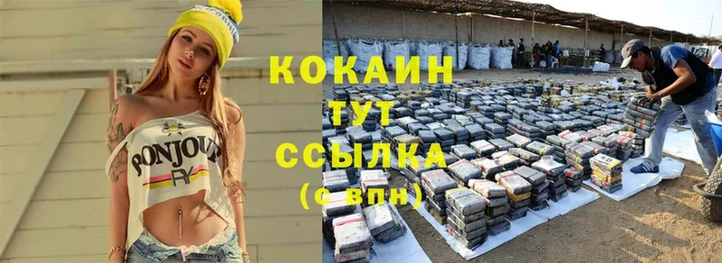 где можно купить   Новоалександровск  МЕГА tor  Cocaine 97% 