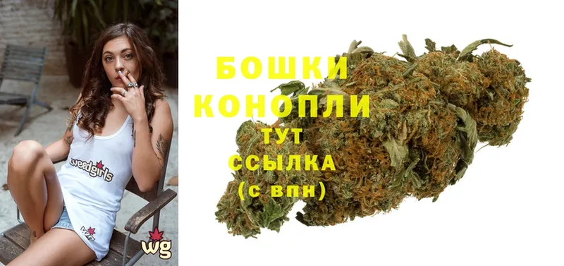 Каннабис Ganja  Новоалександровск 